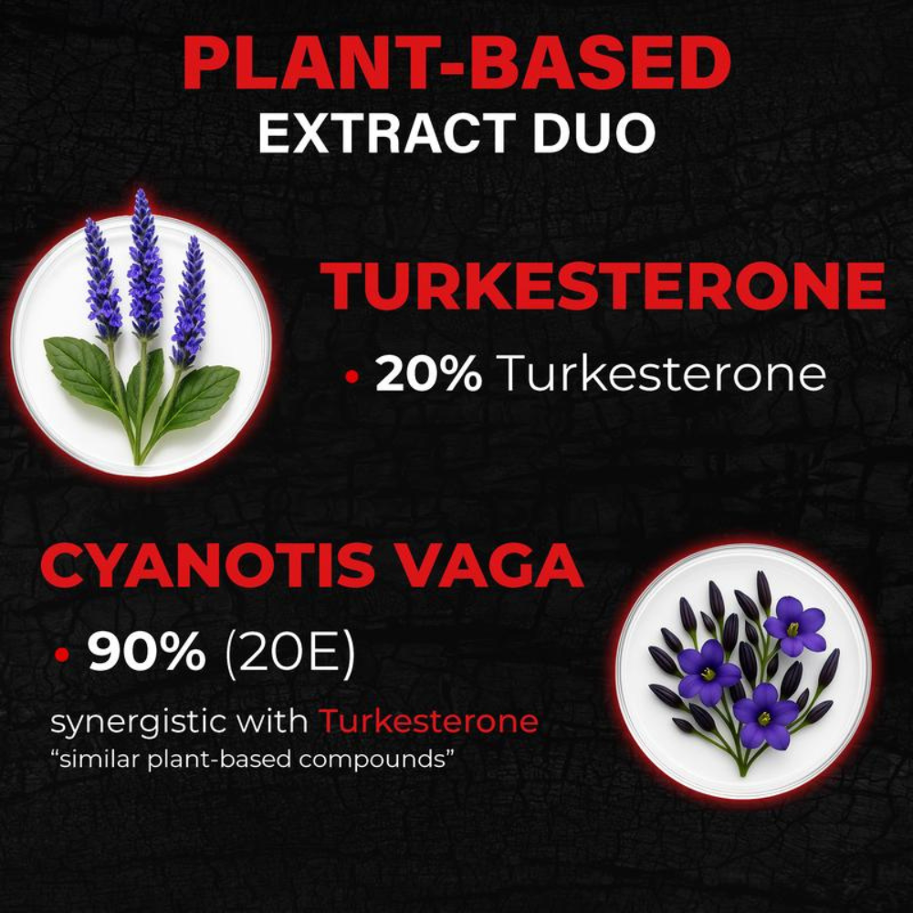 Alpha Male Complex | High-Potency Men's Performance